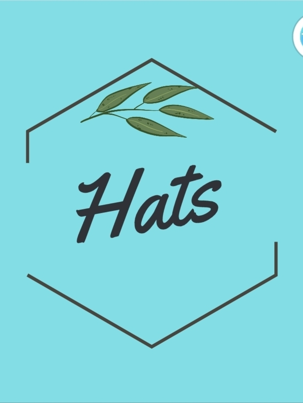 Hats, Baseball, Floppy, Etc.